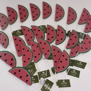 Watermelon Pics set of 26 NWT WATERMELON FLORAL PICKS WATERMELON DECOR 🍉
